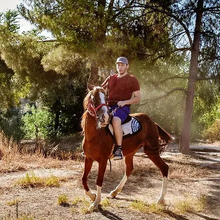 Apollon Garden Pamukkale Hotel Denizli (Denizli)