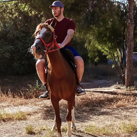 Apollon Garden Pamukkale Denizli (Denizli)