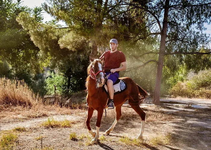 Apollon Garden Pamukkale Hotel Denizli (Denizli)