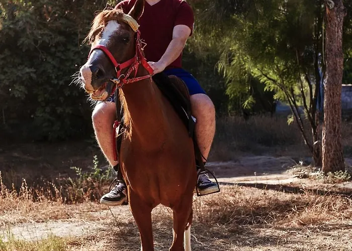 Apollon Garden Pamukkale Denizli (Denizli)